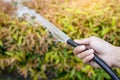 Woman hands watering the house with water hose.