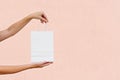 Woman hands with white paper shopping bag isolated on white on pink background. Mockup, copy space Royalty Free Stock Photo