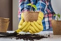 Woman hands in a yellow gloves transplating plant. Plant care concept