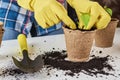 Woman hands in a yellow gloves transplating plant. Plant care concept