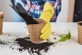 Woman hands in a yellow gloves transplating plant. Plant care concept