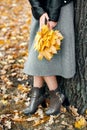 Woman hands with yellow leaves closeup. Fall season in city park