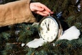 Woman hanging a watch on fir closeup. Royalty Free Stock Photo