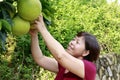 Woman happily pick honey pomelo