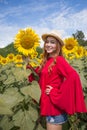 Woman happy and enjoy in sunflower field