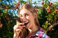 Woman harvesting berries in garden Royalty Free Stock Photo