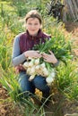 Woman harvesting fresh green onion Royalty Free Stock Photo