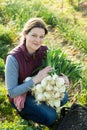 Woman harvesting fresh green onion Royalty Free Stock Photo