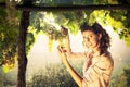 Woman harvesting grapes under sunset light Royalty Free Stock Photo