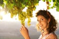 Woman harvesting grapes under sunset light Royalty Free Stock Photo