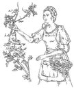 Woman harvesting the grapes on vineyard. Engraving black vintage