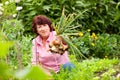 Woman harvesting onions in garden