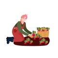 Woman harvesting organic radishes. Farmer grow vegetables in farm. Female cultivation eco radish in garden. Person in