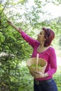 Woman harvesting pine spruce tips