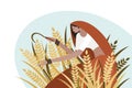 Traditionally dressed woman harvesting wheat using a sickle