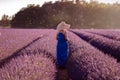 Woman in lavender provence sunset Royalty Free Stock Photo