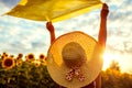 Woman in hat relaxing in blooming sunflower field raised arms with scarf and having fun. Free and happy. Summer vacation Royalty Free Stock Photo