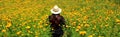 Woman with hat walks in cultivation field of Cempasuchil flower, flower for day of the dead in Mexico Royalty Free Stock Photo