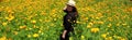 Woman with hat walks in cultivation field of Cempasuchil flower, flower for day of the dead in Mexico Royalty Free Stock Photo