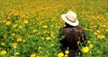 Woman with hat walks in cultivation field of Cempasuchil flower, flower for day of the dead in Mexico Royalty Free Stock Photo