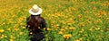 Woman with hat walks in cultivation field of Cempasuchil flower, flower for day of the dead in Mexico Royalty Free Stock Photo