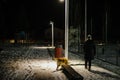 Woman walks at night with the dog on a leash lit by the light of Royalty Free Stock Photo