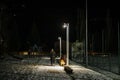 Woman walks at night with the dog on a leash lit by the light of Royalty Free Stock Photo