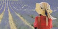 Woman with hat watching plantation of bunch of lavender in provence Royalty Free Stock Photo