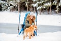 Winter hiking in the forest Royalty Free Stock Photo