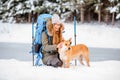 Winter hiking in the forest Royalty Free Stock Photo