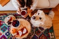 woman having a cup of tea at home during breakfast. Cute golden retriever dog besides. Healthy breakfast with fruits and sweets. Royalty Free Stock Photo