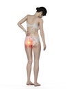 A woman having a painful hip Royalty Free Stock Photo