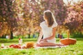 Woman having picnic on sunny spring day in park during cherry blossom season Royalty Free Stock Photo