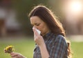 Woman having symptoms of spring pollen allergy Royalty Free Stock Photo