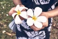 Woman in hawaiian dress holding Plumeria Kauai, one of Hawaii`s popular tropical flowers