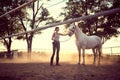 Woman with a  helmet petting a horse. Training on countryside, sunset golden hour. Freedom nature concept Royalty Free Stock Photo