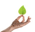 Woman with henna tattoo holding leaf on white background, closeup. Traditional mehndi ornament