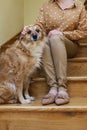 The woman and her cute dog are sitting together on the stairs