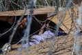 Woman and her daughter crawling under razor wire crossing Mexico US border