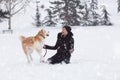 Woman and her dog akita play in park on snowy day. Winter concept Royalty Free Stock Photo