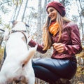 Woman and her dog in playful mood Royalty Free Stock Photo