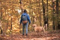 Woman and her dog walking in autumn forest Royalty Free Stock Photo