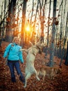 Woman with her dogs in the woods at play Royalty Free Stock Photo