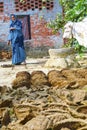 Woman at her farm with cow dung Royalty Free Stock Photo