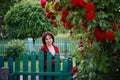Woman in her garden among roses in the evening Royalty Free Stock Photo