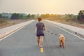 Woman with her golden retriever dog walking on the public road Royalty Free Stock Photo