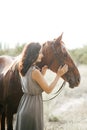 Woman with her horse on a lovely meadow lit by warm evening light. Animal love concept Royalty Free Stock Photo