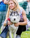 An woman with her husky in the park at a dog show. Royalty Free Stock Photo