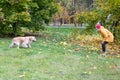 Woman with her retriever in the autumn park. A young woman calls a dog to her Royalty Free Stock Photo