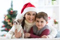 Woman and her son celebrating christmas with furry friend. Mother and kid with terrier dog. Pretty child boy with puppy at x-mas t Royalty Free Stock Photo